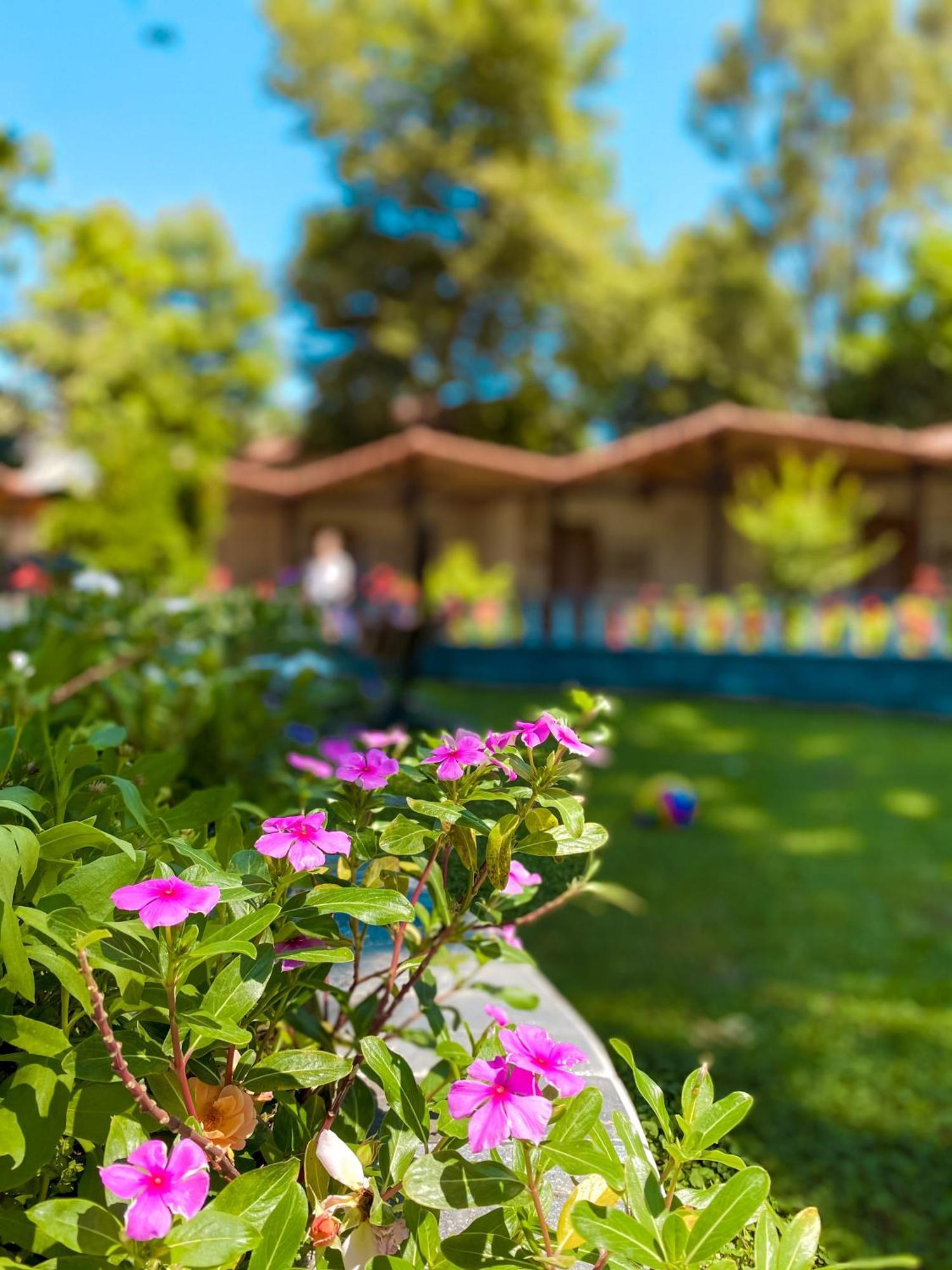 Hotel Likya Adrasan Zewnętrze zdjęcie