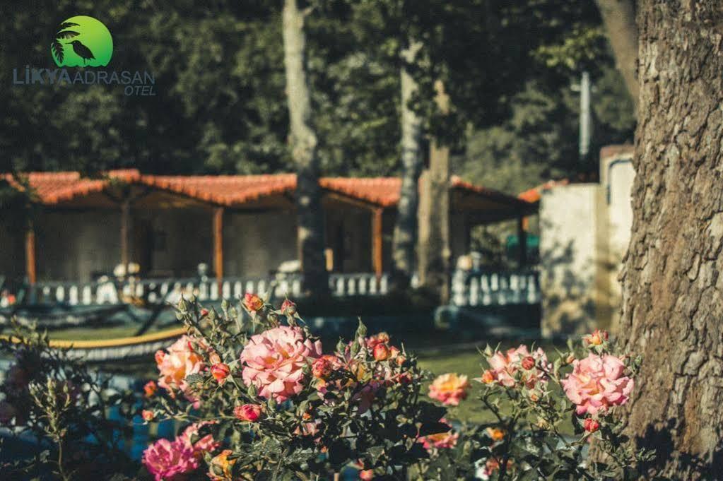 Hotel Likya Adrasan Zewnętrze zdjęcie